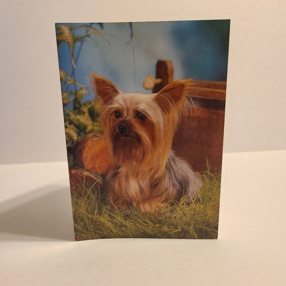 Vintage G.J.C Yorkie Terrier Best of Wishes Card - New